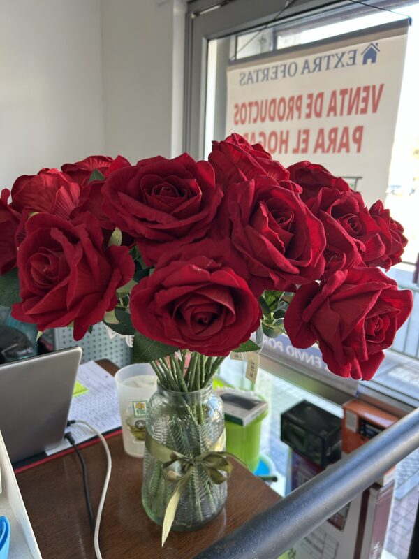 Rosa Artificial - Image 2